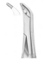 CRYER Fig. 151A lower incisors, premolars, roots