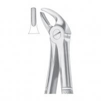 Fig. 4 upper incisors & canines