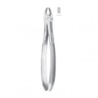 Fig. 106 lower incisors