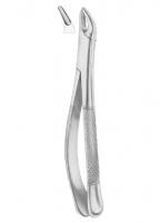 CRYER Fig. 150 lower incisors, premolars, roots
